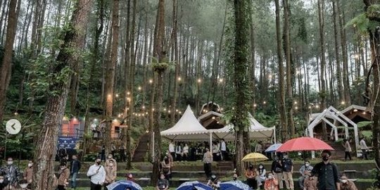 darurat pemerintah percepatan penyaluran dana hibah