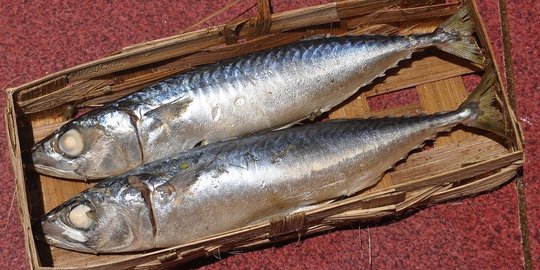 Ikan Kembung sampai Bandeng, 7 Ikan Lokal Ini Lebih Kaya Omega-3 daripada Salmon