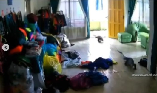 viral 039tamu039 tak diundang masuk rumah gara gara pintu terbuka