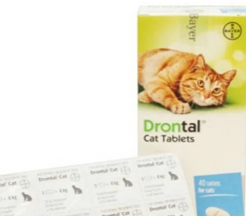 Obat Cacing untuk Kucing yang Ampuh Lengkap dengan Harga  merdeka.com