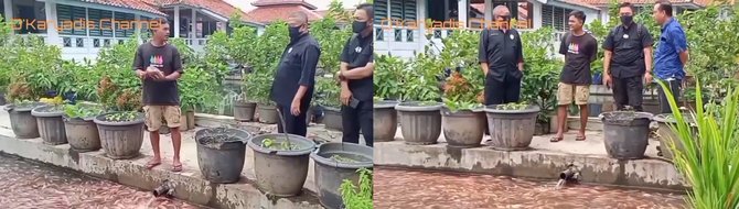 momen eks wakapolri jusuf manggabarani cari bibit ikan