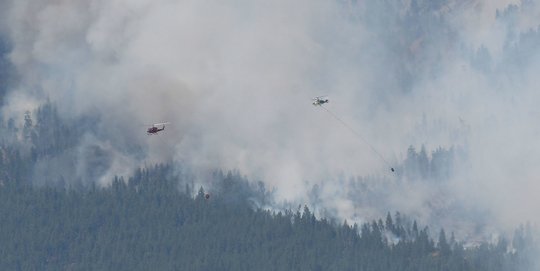 Gelombang Panas Picu Kebakaran Hutan di Kanada