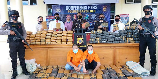 Polres Gayo Ludes Tangkap Kakak Beradik, 195 Kg Ganja Gagal Edar di Aceh