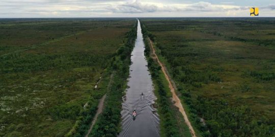 strategi food estate untuk ketahanan pangan nasional dinilai tak tepat