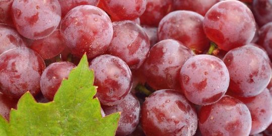 6 Manfaat Buah Anggur Merah bagi Kesehatan, Penting Dikonsumsi Teratur