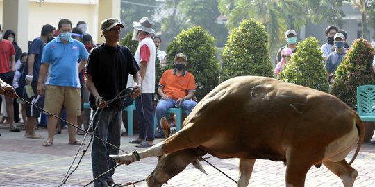 INFOGRAFIS: Aturan Salat Iduladha dan Penyembelihan Kurban Selama PPKM Darurat