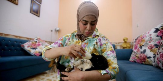 Wanita Irak Dirikan Penampungan Anjing Liar di Rumahnya