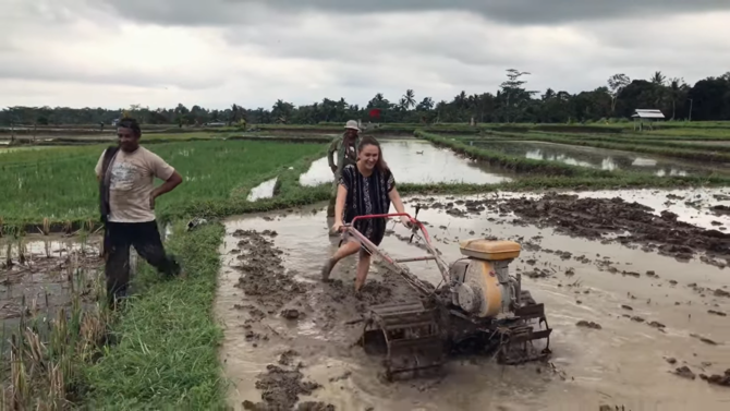 istri bule bajak sawah pakai daster