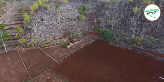 Pilih Hidup Sendirian, Mbah Sardi Bangun Gubuk Tinggal di Hutan Belantara