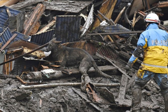 pencarian korban tanah longsor di jepang