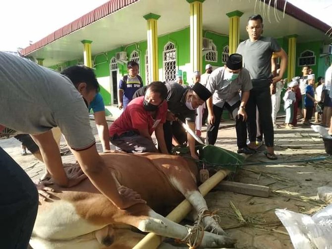 pemotongan hewan kurban di masjid umar bin khattab bengkulu