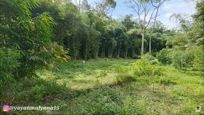 rumah mantan pengusaha di subang yang berada di tengah hutan