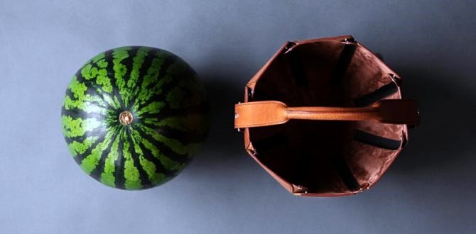 tas semangka dari brand jepang tsuchiya bag co