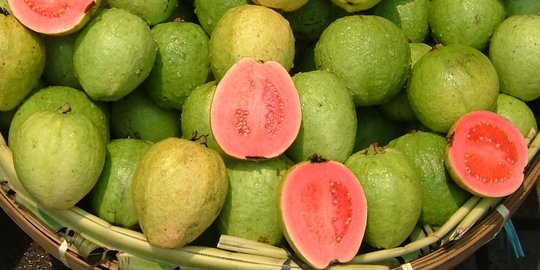 Ragu Mencoba Suplemen Kolagen? Santap 10 Makanan Pendukung Produksi Kolagen Tubuh Ini