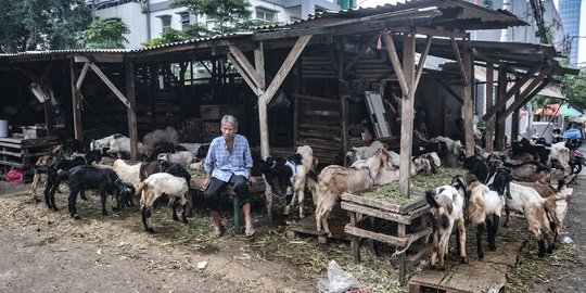 Menjaga Hari Raya Kurban yang Aman di Tengah Lonjakan Covid-19