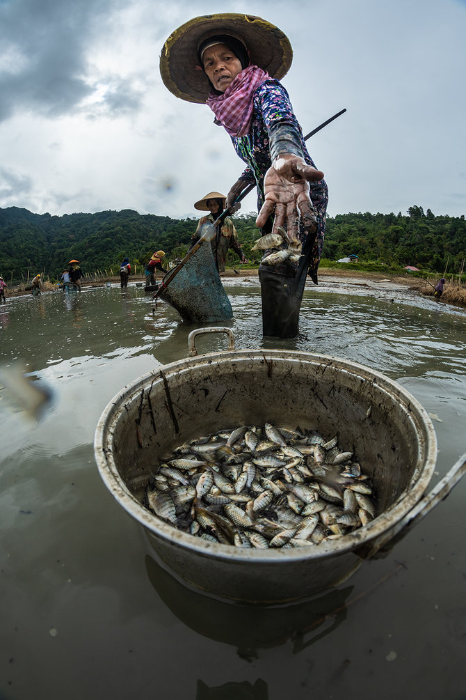 manangguak ikan pantau