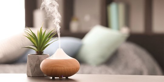 8 Manfaat Air Purifier untuk Kesehatan yang Menarik Diketahui, Baca Selengkapnya