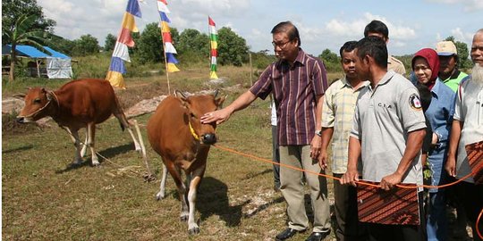 Pedagang Kesulitan Mengirimkan Hewan Kurban Akibat PPKM Darurat