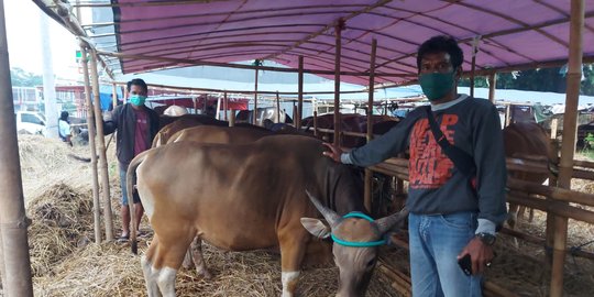 PPKM Darurat Membuat Penjual Hewan Kurban di Depok Turun Omzet