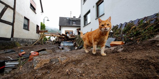 Porak-Poranda Jerman Usai Disapu Banjir