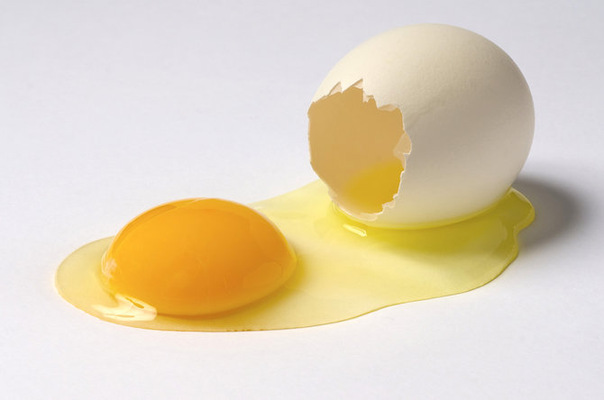 ilustrasi telur