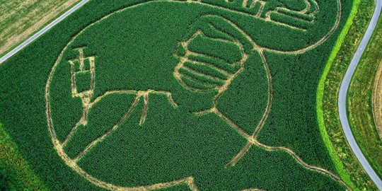 Unik, Petani di Jerman ini Gambar Orang Sedang Divaksin di Hamparan Ladang Jagung