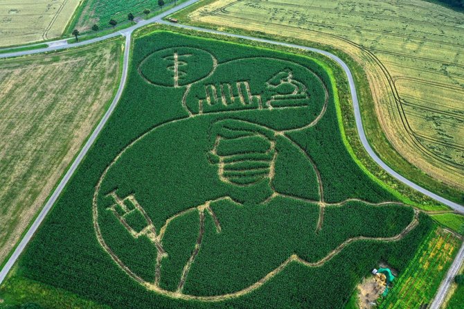 unik petani di jerman ini gambar orang sedang divaksin di hamparan ladang jagung