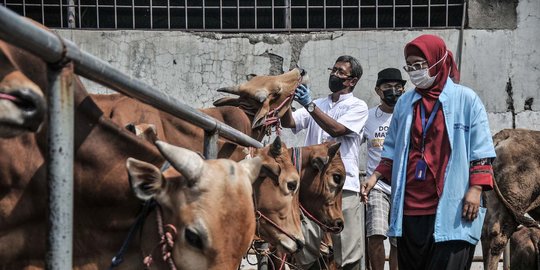 Kemenag akan Gandeng Ormas Cegah Warga Mudik Jelang Iduladha