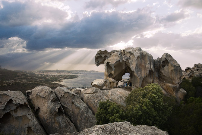 bear rock