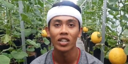 Tanam Melon di Halaman, Petani Muda Ini Raup Untung Berlipat di Masa PPKM Darurat
