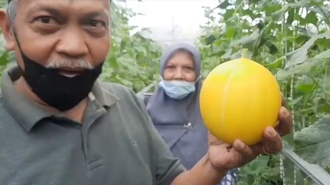 dadan petani milenal melon asal kota tasikmalaya