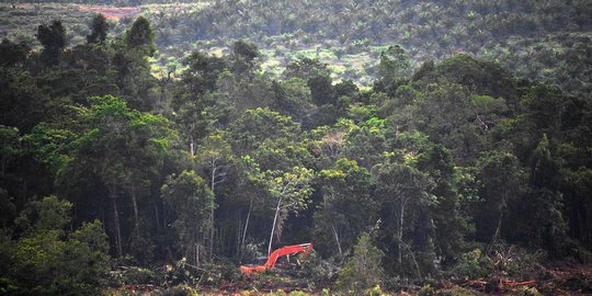 Anggota DPR Minta Pemerintah Contoh India dan Brazil Hadapi LSM Asing