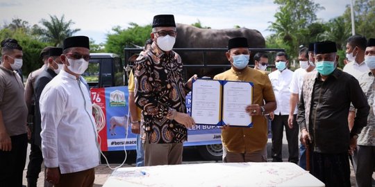 Jokowi Kurban Sapi Simmental Cross Angus Berbobot 1 Ton di Aceh Besar