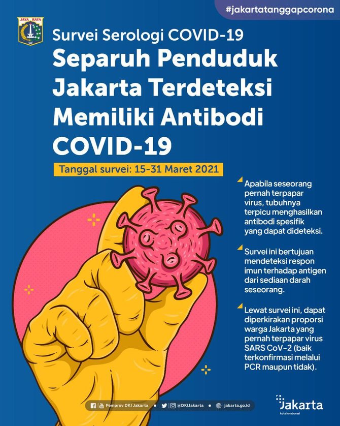 infografis separuh warga dki pernah terinfeksi covid 19