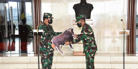 Secara Simbolis, Panglima TNI Serahkan Sapi Kurban