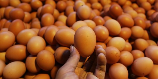 Jelang Iduladha, Harga Telur Naik Menjadi Rp25.000 per Kg