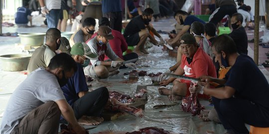 salurkan 3.000 lebih hewan kurban, bsi gelontorkan rp 4,8 miliar