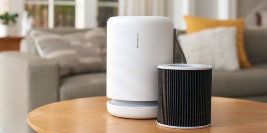 Fungsi Air Purifier Di Dalam Rumah Ciptakan Lingkungan Ruangan Yang Sehat Merdeka Com