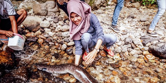 Sensasi Seru Memegang Morea, Belut Raksasa Keramat Khas Maluku