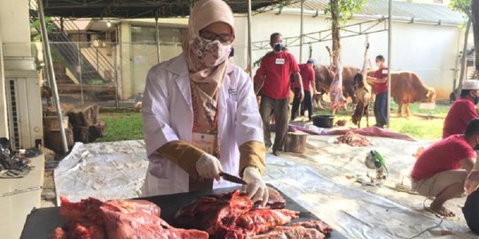 22 Kilogram Organ Hewan Kurban Ditemukan Sudin KPKP Jakpus Mengandung Cacing Hati