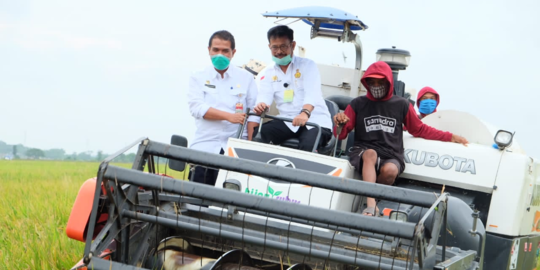 Terancam Gagal Panen, Petani di Kayong Utara Kalbar Diingatkan Ikut Program AUTP - Vimarsana News