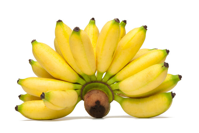 ilustrasi pisang