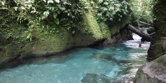 Airnya Jernih bak Kristal, Intip Potret Wisata Pemandian Pelaruga di Langkat