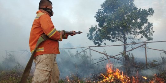 Pemantauan BMKG: Ada 27 Titik Panas di Sumut