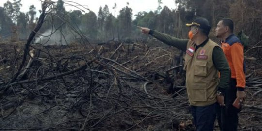 Hutan Lindung Bukit Suligi Riau Terbakar, 3 Orang Ditangkap