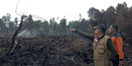 Polisi Tetapkan 3 Tersangka Terkait Kebakaran Hutan Lindung Bukit Suligi Riau