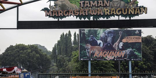 Pengelola Taman Margasatwa Ragunan Sajikan Wisata Virtual Selama PPKM