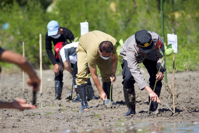 penanaman 10000 bakau di mandalika