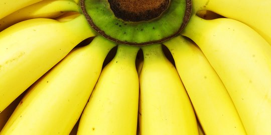 7 Manfaat Pisang untuk Pria, Bantu Tingkatkan Imun dan Jaga Kesehatan Otot