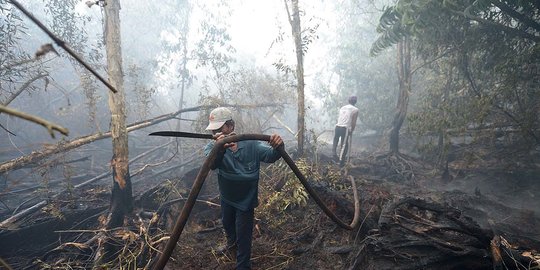 10 Daerah Sumsel Darurat Karhutla, BPBD Minta Tambahan Heli untuk Water Bombing